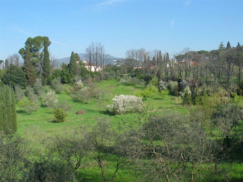 Villa Ulivi Florenţa Exterior foto